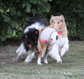 20130816_7.JPG