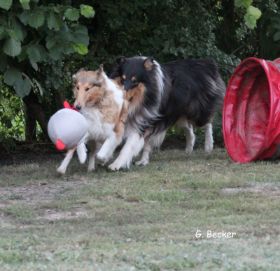 20130816_4.JPG