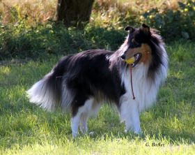 20131001_67.JPG