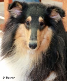 20140330_13.JPG