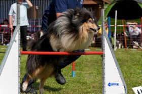 phoca_thumb_l_Agility_Turnier_Zirndorf_9135.jpg