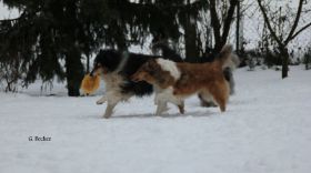 IMG_6120.JPG