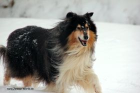 IMG_6423.JPG