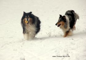 IMG_6397.JPG