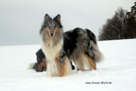 IMG_6449.JPG