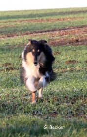20131127_40.JPG